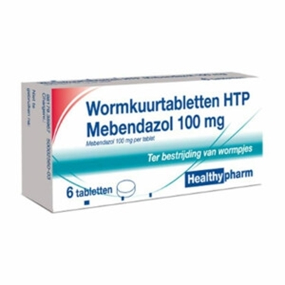 HEALTHYPHARM WORMKUURTABLETTEN MEBENDAZOL 100MG 6ST